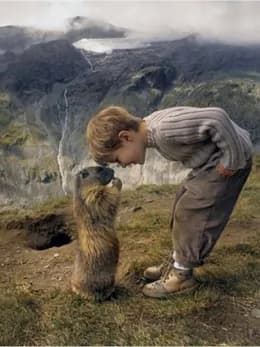 Sebeő Talán profilképe